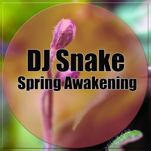 DJ Snake